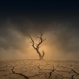 Desierto de la Escasez